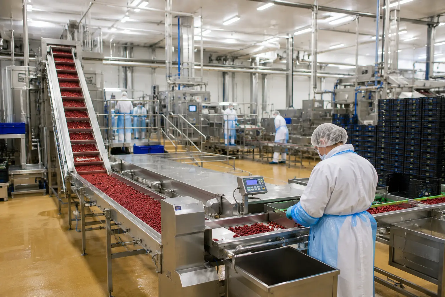 Food sector